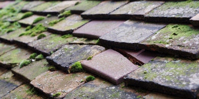 Newton Solney roof repair costs